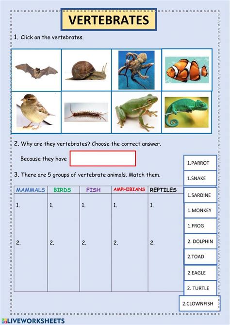 Vertebrates online activity | Live Worksheets