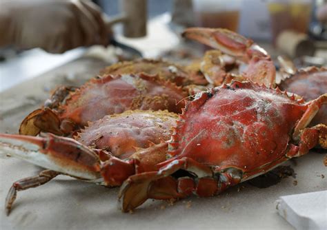 Steamin Summer Where To Find Local Crabs In The Dc Area Wtop