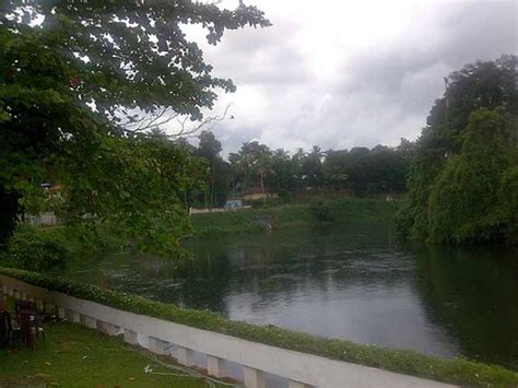 There are 44 rivers in kerala. Muvattupuzha River in Ernakulam, Kerala | Keralaorbit