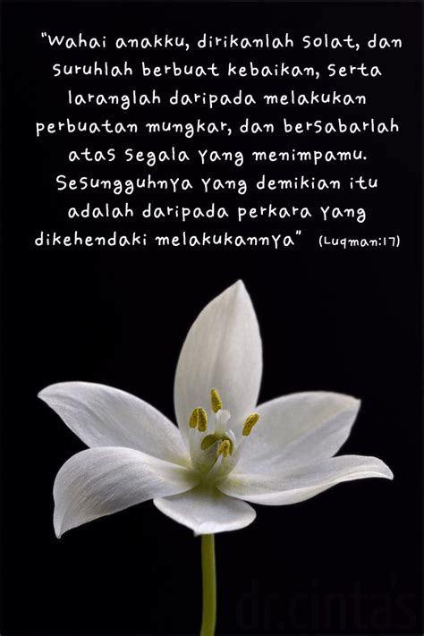 Check spelling or type a new query. piece of me: mutiara kata untuk hati..