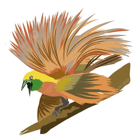 Nice Looking Illustration Of Bird Paradise Vector Bird Paradise