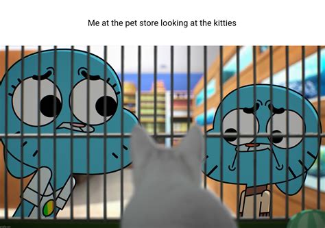 The Amazing World Of Gumball Memes And S Imgflip