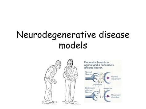 Ppt Neurodegenerative Disease Models Powerpoint Presentation Id293354