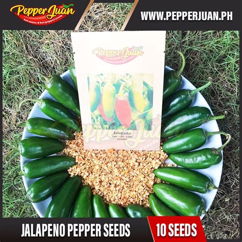 Buy Jalapeno Pepper Seeds Online Pepper Juan