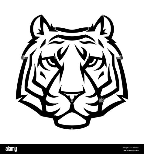 Mascot Stylized Tiger Head Stock Vector Image And Art Alamy