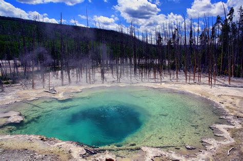 Yellowstone National Park Sulfur Springs Yellowstone National Parks Yellowstone National Park