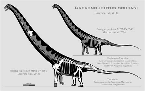 Dreadnoughtus Schrani Skeletal Reconstruction By Spinoinwonderland On