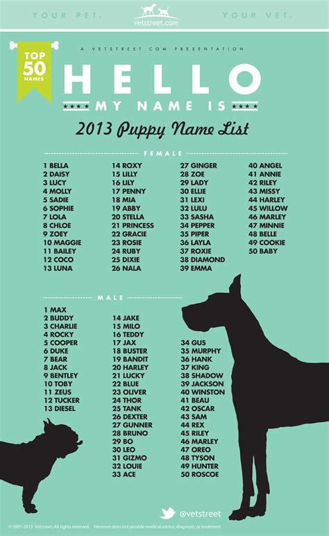 Most Popular Puppy Names 2013 Vetstreet Vetstreet
