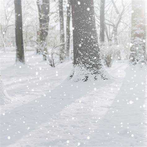 Sunbeam Through The Snowy Forest Premium Photo Rawpixel
