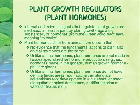 Ppt Plant Growth Regulators Powerpoint Presentation Free Download