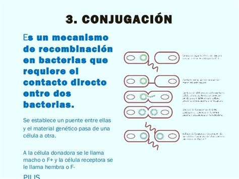 5 Fisiología Y Genética Bacteriana