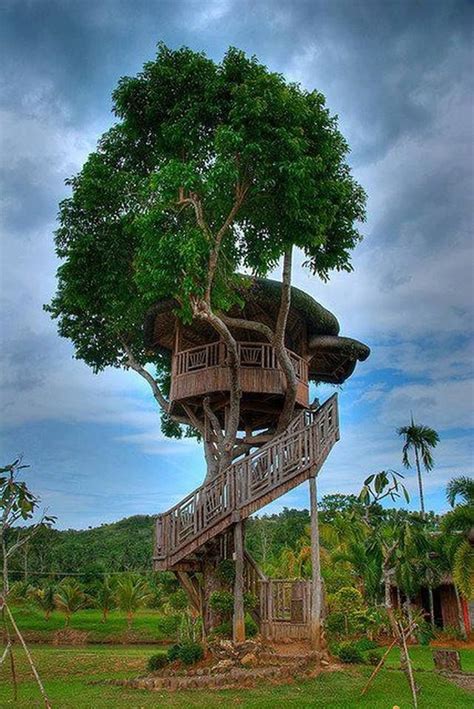 His Tree House In Tacloban Is The Most Amazing Thing Ive Ever Seen