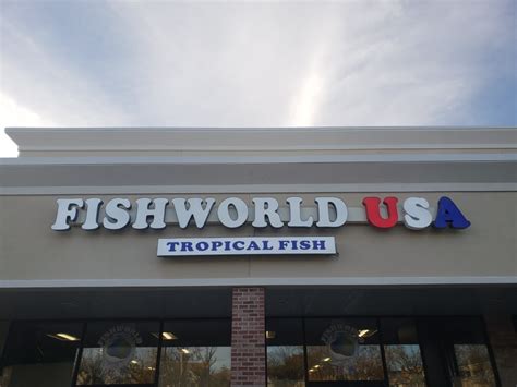 New Tropical Fish Store Coming To Whitestone This December Qns