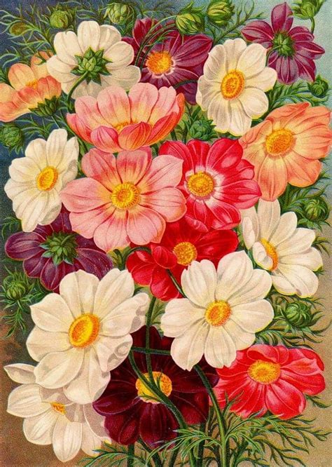 Victorian Floral Art Retrographik