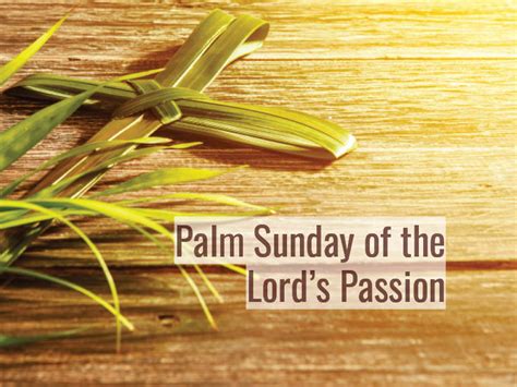 Palm Sunday Of The Lords Passion St Stanislaus B And M