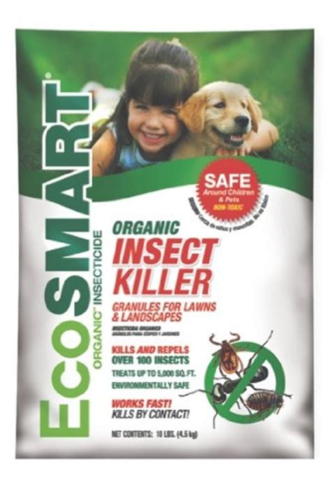 Here are some toxic plants to avoid, followed by safe alternatives. Best Lawn Insect Killer (Safe for Pets and Kids ...