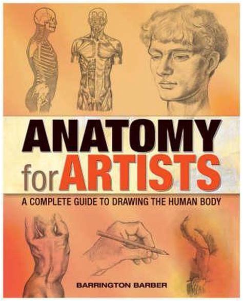 Anatomy For Artists Barrington Barber 9780572034283 Boeken