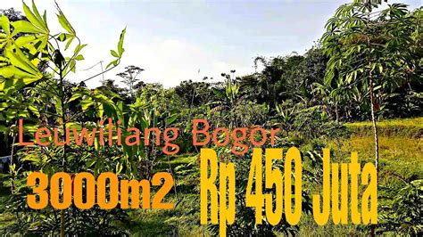 Tanah Murah Di Bogor YouTube
