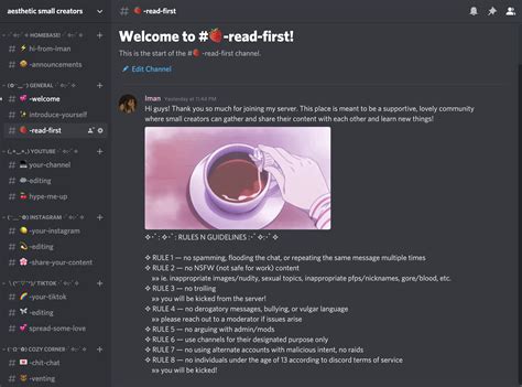 Aesthetic Rules Template Discord