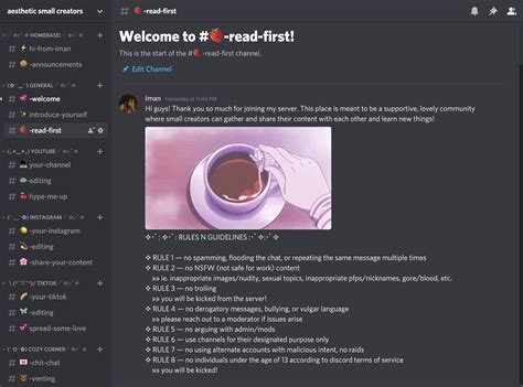 Discord Introduction Template Aesthetic