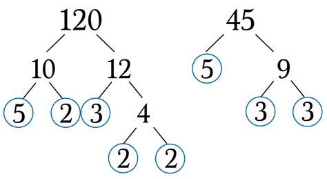What are factors, prime factors, and prime factorization, how to calculate? Using Factor Trees to Find GCFs and LCMs - Math Hacks - Medium