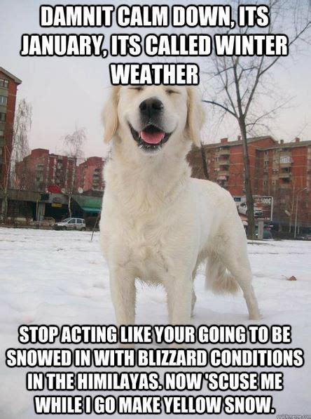 50 Funniest Winter Memes Of All Time