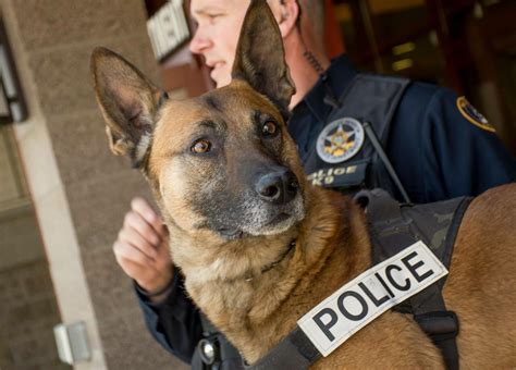 K9s | City of Bend