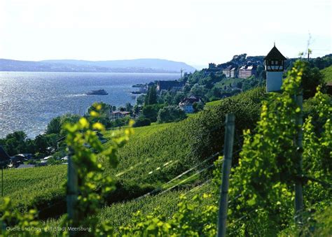 Ob kuckucksuhr, schwarzwälder kirschtorte, mercedes oder porsche. Hoogtepunten van de wijncultuur Deel 1 Baden Württemberg ...