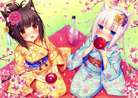 Anime Girl On A Picnic Neko Para Wallpapers And Images Wallpapers