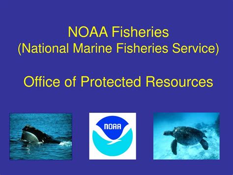 Ppt Noaa Fisheries National Marine Fisheries Service Office Of