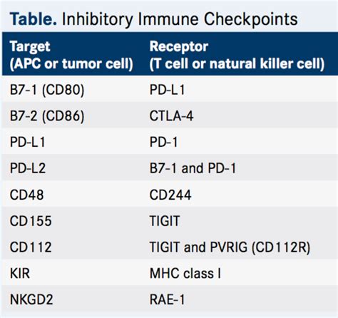 Tigit A Ctla4 Esque Immune Checkpoint For Cancer Cancer Biology