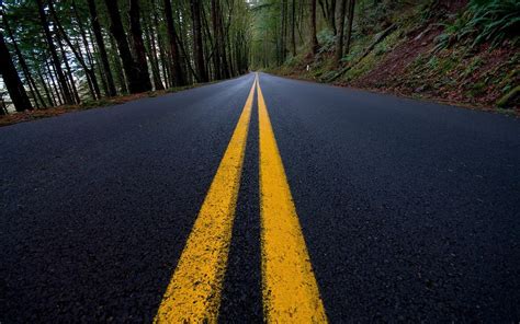 Wallpaper Id 655331 Forest Road Symbol Road Marking Direction