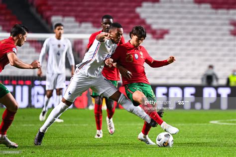 Águias e leões repartem a liderança da liga. Ver Sporting Benficagratis : Gwangju Fc Jeonnam Dragons ...