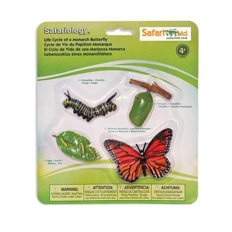 Life Cycle Of A Monarch Butterfly Butterfly Life Cycle Life Cycles