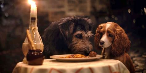 Lady And The Tramp 2019 Cast And Everything You Need To Know