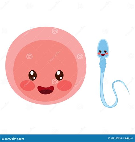 Egg Cell And Sperm Stock Vector Illustration Of Pregnancy 118133655