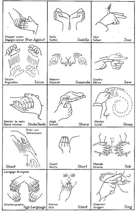 We did not find results for: French and GermanEquivalents are shown with each ...