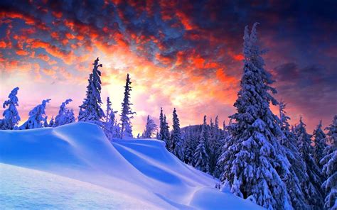 Winter Hd Wallpaper Background Image 1920x1200