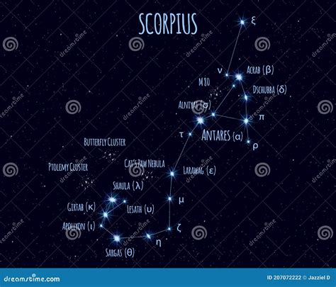 Scorpius Constellation Vector Illustration With The Names Of Basic