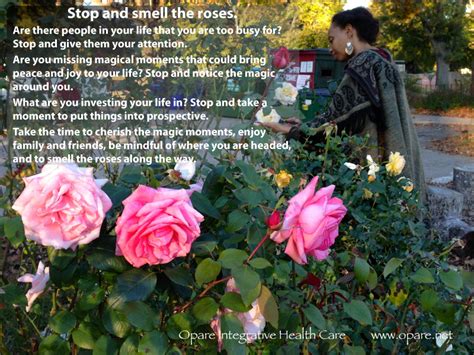 stop and smell the roses are there people in your life that you are too busy for stop and give