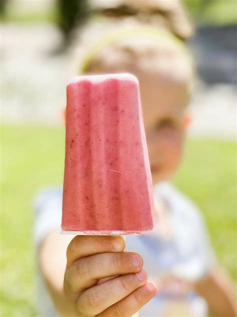 6 Easy Popsicle Recipes For Kids Baby Chick