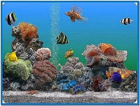 3d Marine Aquarium Screensaver Mac Download Screensaversbiz