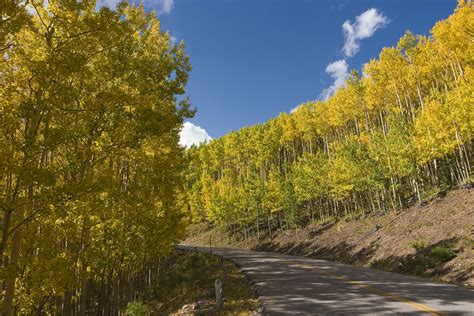 Ruidoso Fall Travel Ideas — Travel Information