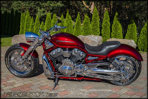 03 Harley Davidson Vrsca Supercharged Fredyee