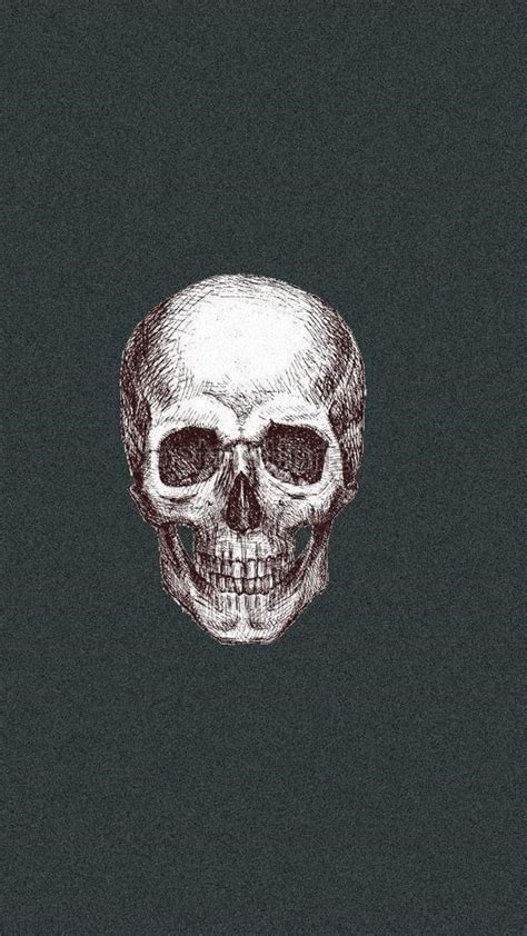 1080x1920 Skull Artist Colorful Digital Art Hd For Iphone 6 7 8