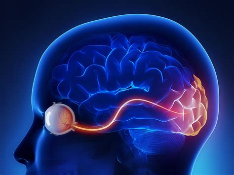 Habitual Cannabis Use May Slow Visual Perception