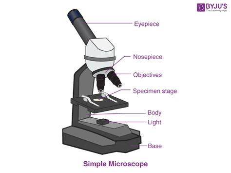 Compound Light Microscope Parts And Functions Pdf Shelly Lighting