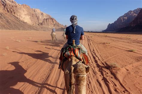 Guide, camel, lunch, camp, dinner and breakfast. Camel Riding in Wadi Rum | Photo