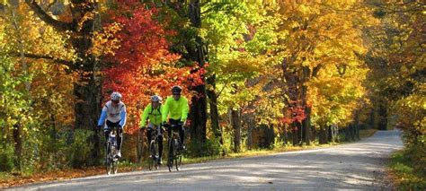 Vermont Bicycle Tour Stowe Fall Foliage Roar Adventures