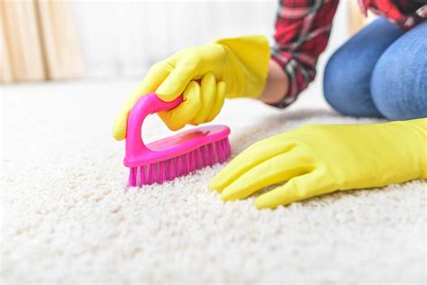 Cleaning Carpets With Baking Soda And Hydrogen Peroxide Step By Step